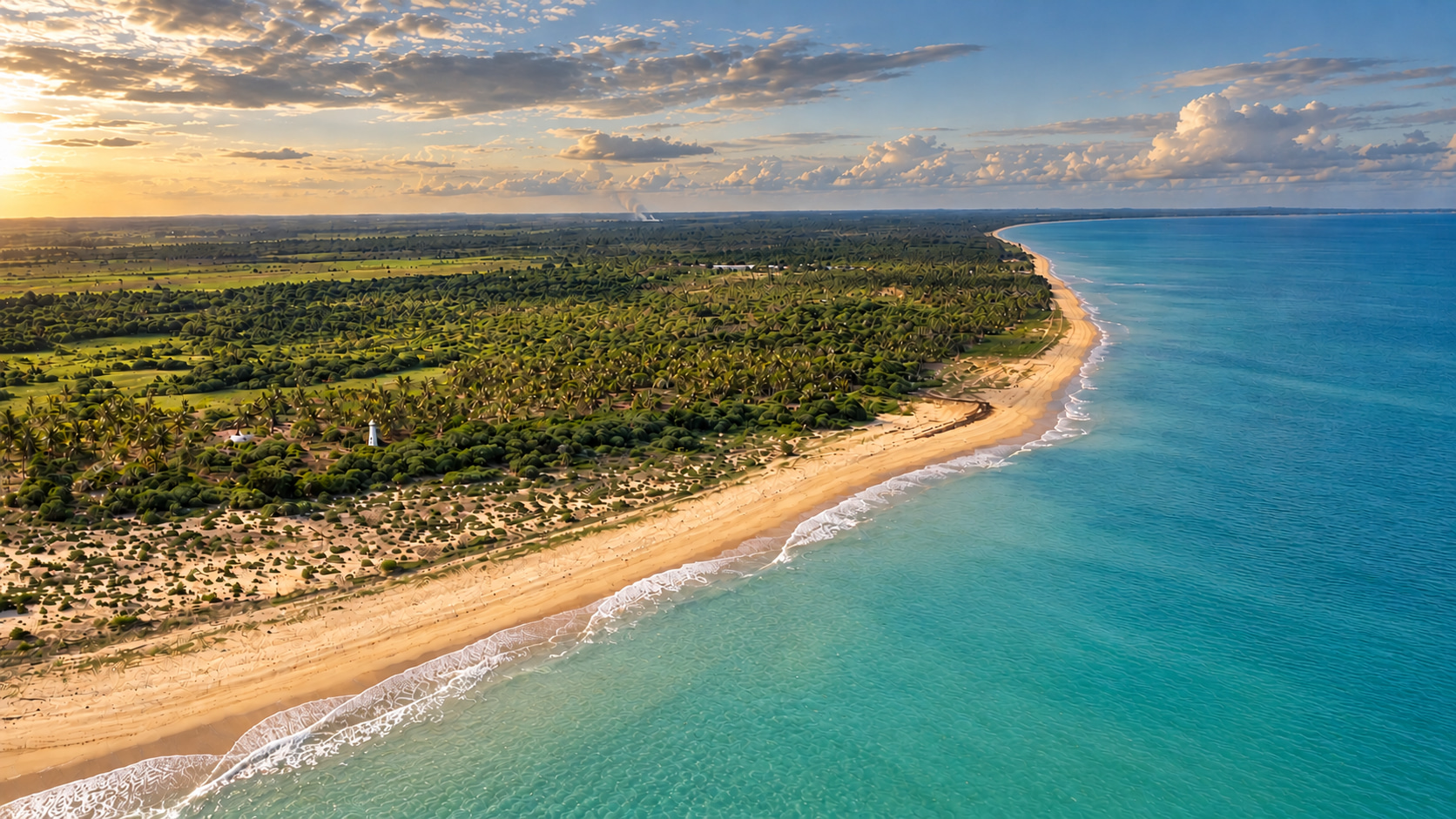 Drohnenaufnahme der Küstenimmobilie ABROLHOS 227 in Bahia mit weitläufiger Palmenlandschaft und Blick entlang der Atlantikküste.
