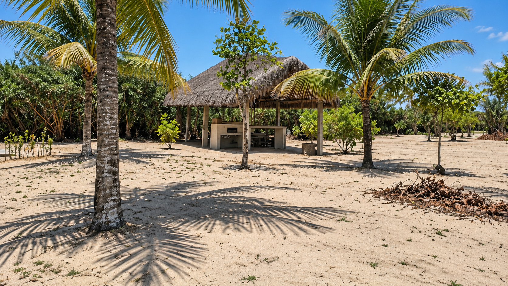 Tropischer Pavillon auf dem zum Verkauf stehenden Strandgrundstück mit jungem Palmenbestand in Brasilien.