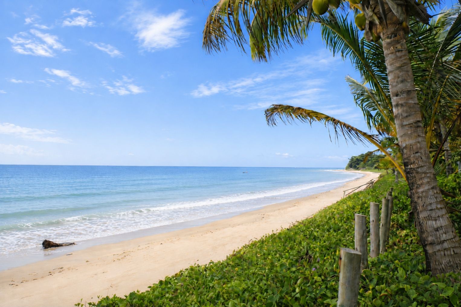 Natural beach directly in front of the property