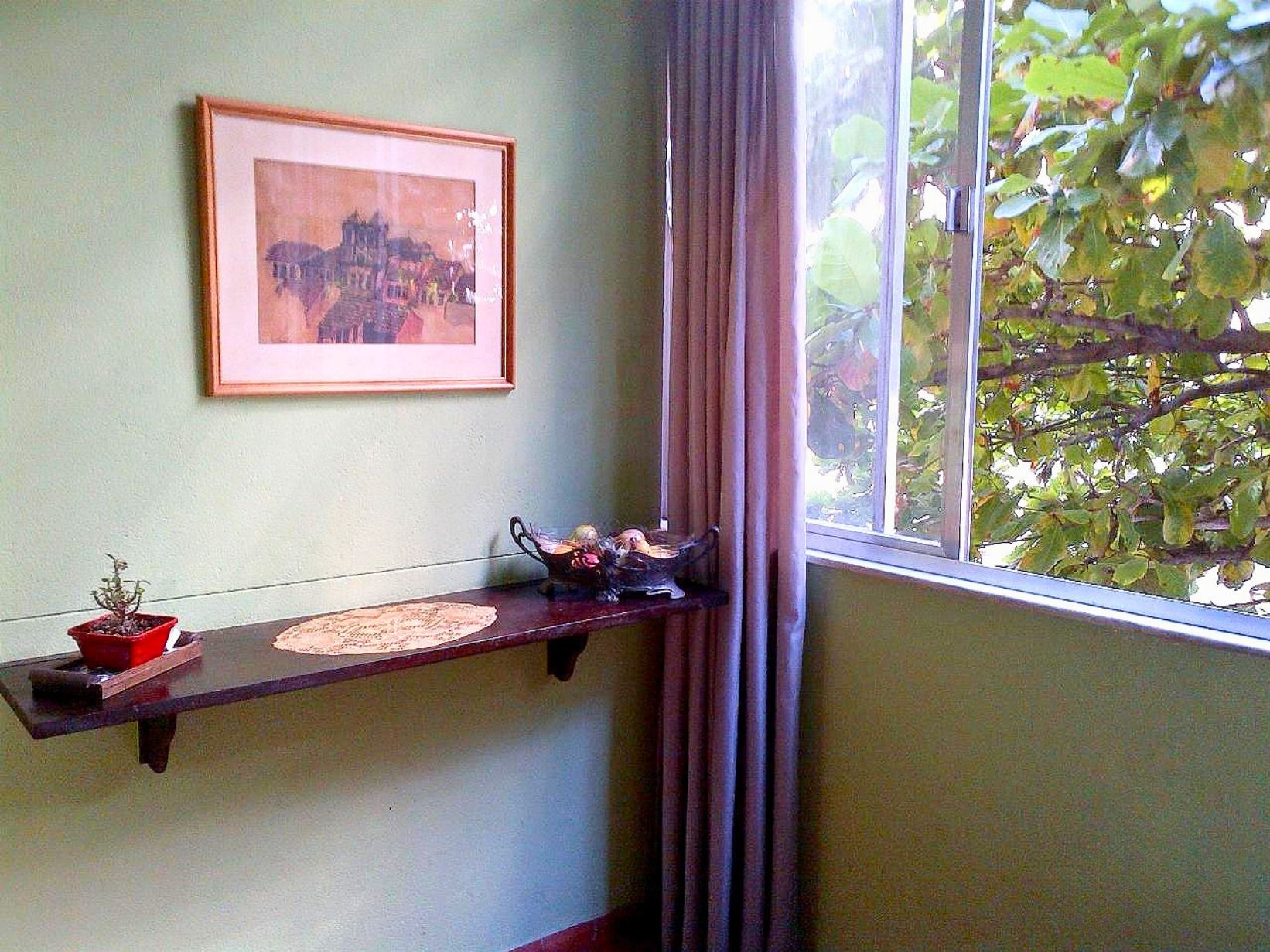 Window area with tropical greenery at Apartamento Leme